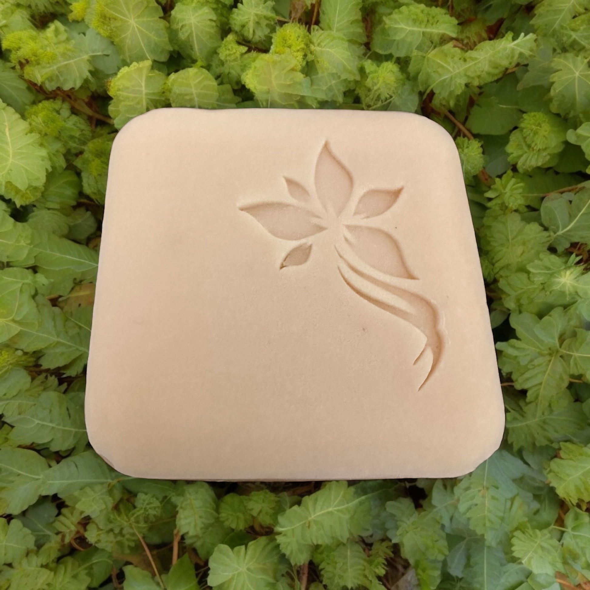 Ran - Eucalyptus Soap - Oily Skin - Freya